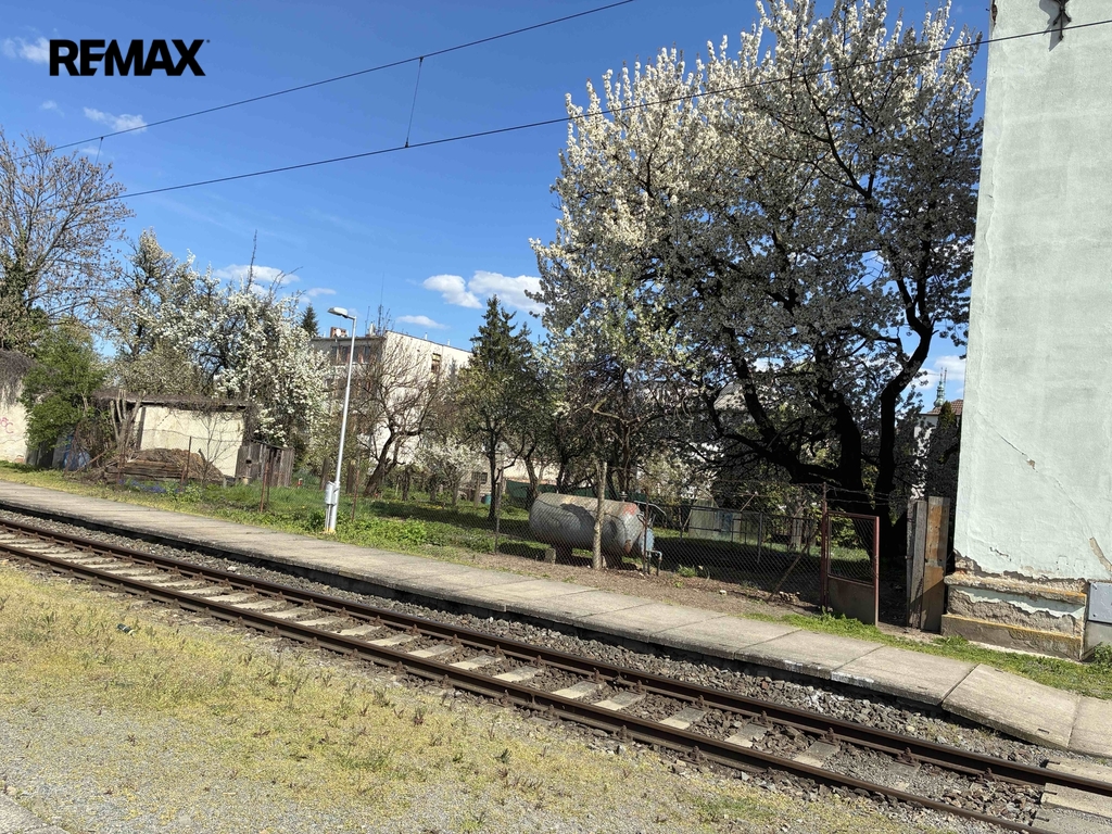 img-5136.jpeg