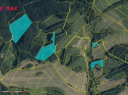 95921487-28bc-4845-94fd-ea06d29fb773.jpg | Prodej - pozemek, les, 41 548 m²
