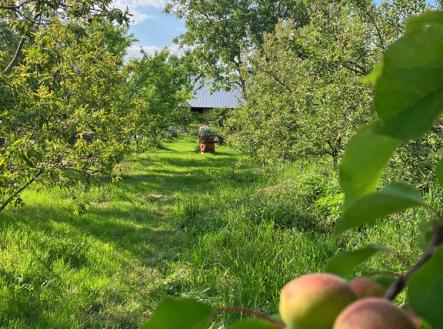 img-0665.jpg | Prodej - pozemek pro bydlení, 1 100 m²