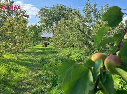 img-0666.jpg | Prodej - pozemek pro bydlení, 1 100 m²