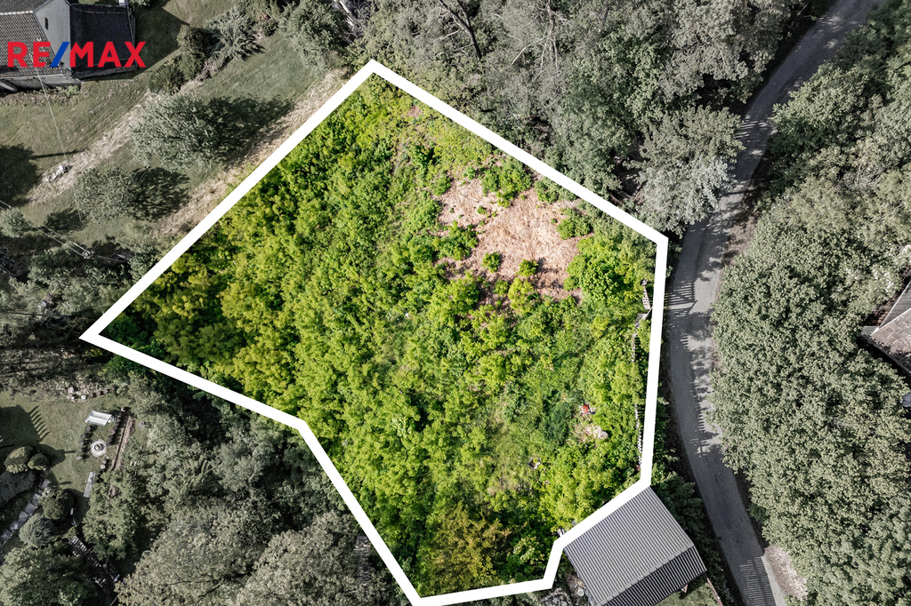 dji-20250524084121-0384-d-1.jpg