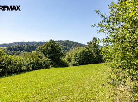 252a0128.jpg | Prodej - pozemek pro bydlení, 4 479 m²