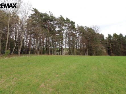 img-2872.jpg | Prodej - pozemek, trvalý travní porost, 3 158 m²