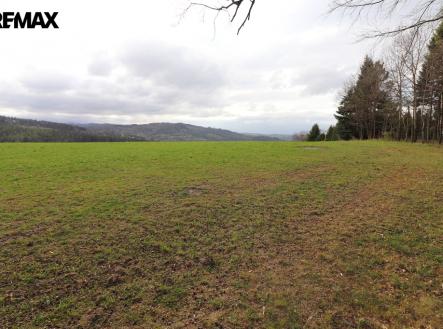 img-2863.jpg | Prodej - pozemek, trvalý travní porost, 3 158 m²