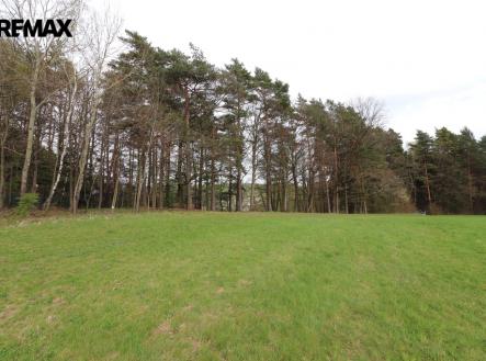 img-2872.jpg | Prodej - pozemek, trvalý travní porost, 3 158 m²