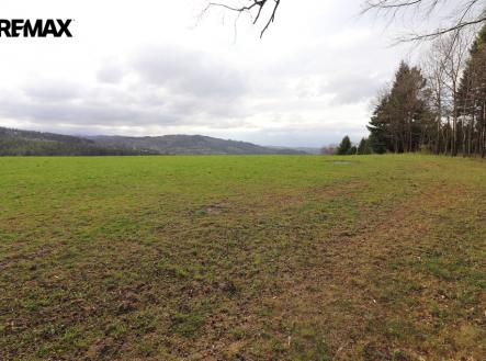 img-2863.jpg | Prodej - pozemek, trvalý travní porost, 3 158 m²