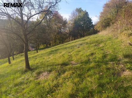 img-20241021-163435.jpg | Prodej - pozemek pro bydlení, 2 994 m²