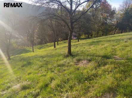 img-20241021-163441.jpg | Prodej - pozemek pro bydlení, 2 994 m²