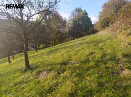 img-20241021-163435.jpg | Prodej - pozemek pro bydlení, 2 994 m²