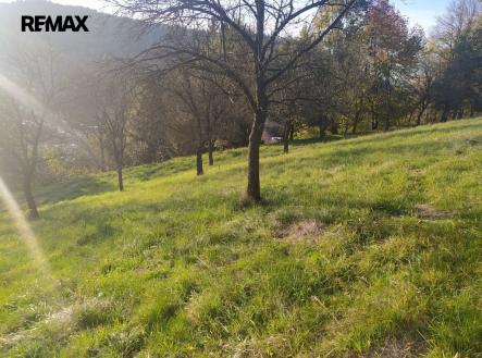 img-20241021-163441.jpg | Prodej - pozemek pro bydlení, 2 994 m²