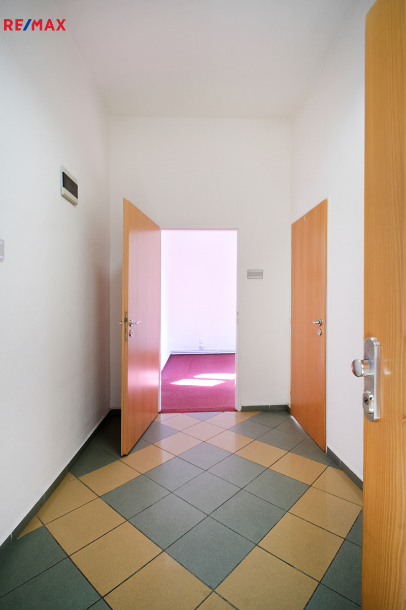 +420 604 191 744 I denisa.myslivcova@re-max.cz