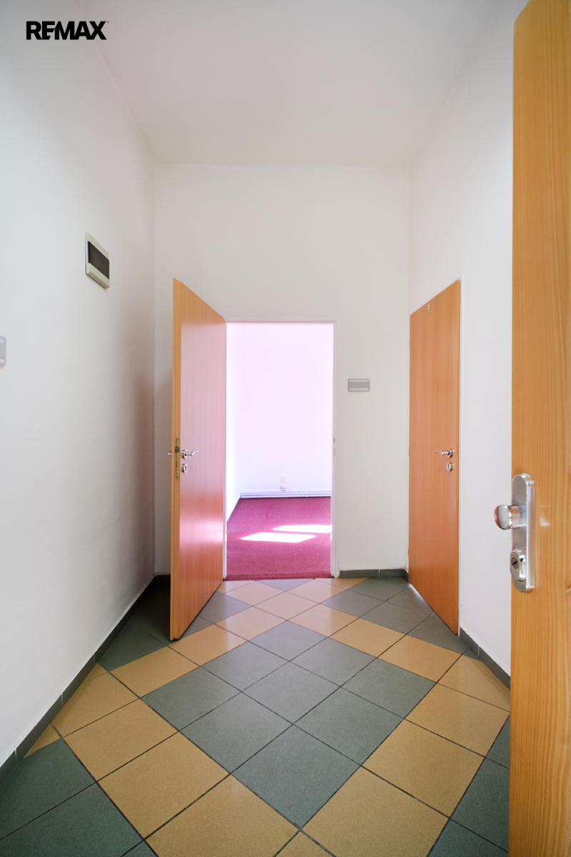 +420 604 191 744 I denisa.myslivcova@re-max.cz