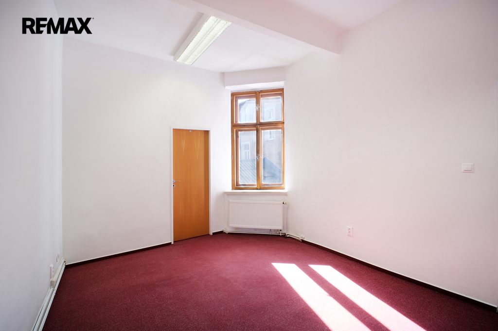 +420 604 191 744 I denisa.myslivcova@re-max.cz