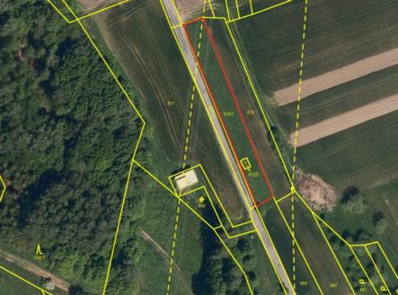 ortofoto-przno.jpg | Prodej - pozemek, trvalý travní porost, 4 612 m²