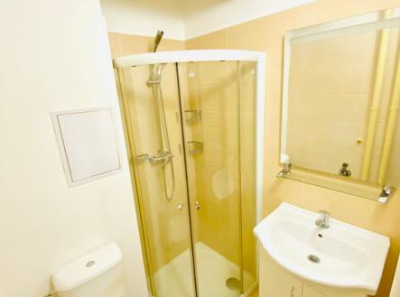 img-2920.jpeg | Pronájem bytu, 1+1, 32 m²