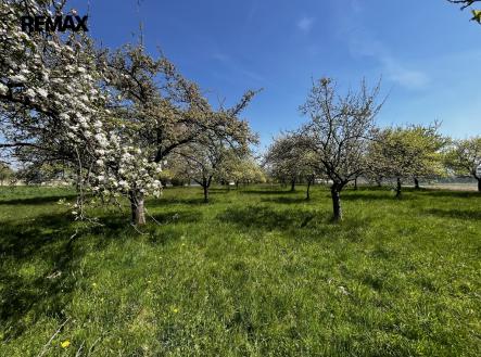 img-4374.jpeg | Prodej - pozemek, ostatní, 7 559 m²
