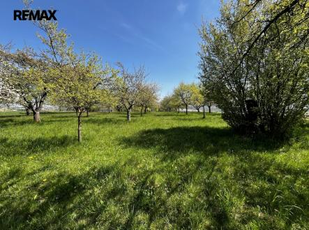 img-4373.jpeg | Prodej - pozemek, ostatní, 7 559 m²