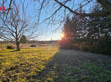 20250219-162807.jpg | Prodej - pozemek, zahrada, 346 m²