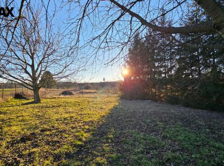 20250219-162807.jpg | Prodej - pozemek, zahrada, 346 m²