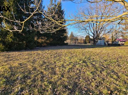 20250219-162840.jpg | Prodej - pozemek, zahrada, 346 m²