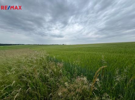 2a-1.jpg | Prodej - pozemek, zemědělská půda, 18 159 m²