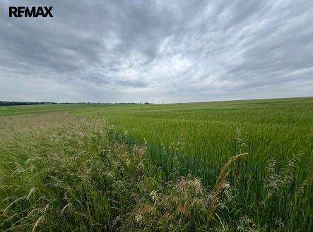 2a-1.jpg | Prodej - pozemek, zemědělská půda, 18 159 m²