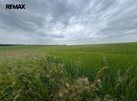 2a-1.jpg | Prodej - pozemek, zemědělská půda, 18 159 m²