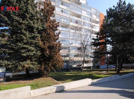 dsc-0008.jpg | Pronájem bytu, 1+1, 36 m²