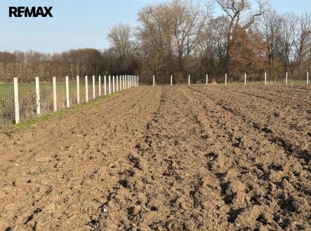 sad-hubal-4.jpeg | Prodej - pozemek, ostatní, 9 979 m²