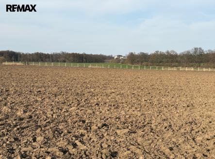 sad-hubal-2.jpeg | Prodej - pozemek, ostatní, 9 979 m²