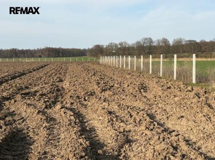 sad-hubal-3.jpeg | Prodej - pozemek, ostatní, 9 979 m²