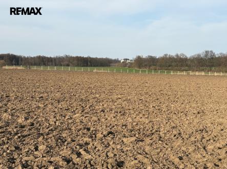 sad-hubal-2.jpeg | Prodej - pozemek, ostatní, 9 979 m²