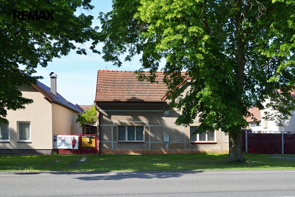 dsc-0001.jpg