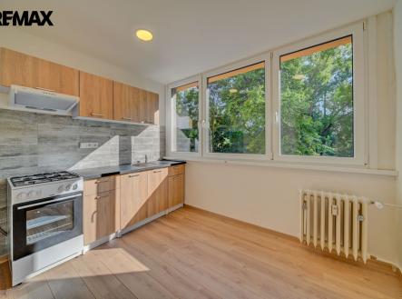 dsc5870and8more.jpg | Pronájem bytu, 1+1, 31 m²