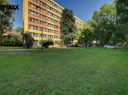 dsc5753and8more.jpg | Pronájem bytu, 1+1, 31 m²