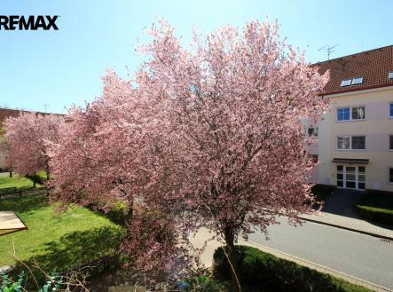 img-9874.jpg | Prodej bytu, 2+1, 61 m²