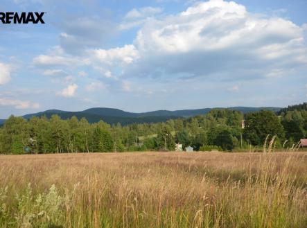 Bublava | Prodej - pozemek pro bydlení, 4 424 m²