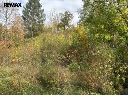 img-1433.jpeg | Prodej - pozemek pro bydlení, 1 395 m²