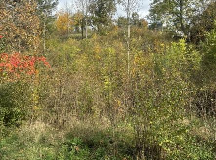 img-1435.jpeg | Prodej - pozemek pro bydlení, 1 395 m²