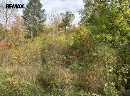 img-1433.jpeg | Prodej - pozemek pro bydlení, 1 395 m²