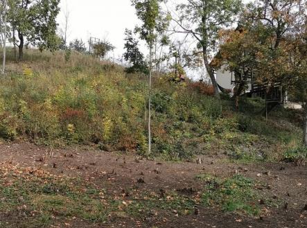 1288af9e-a7fa-4610-bcd1-3f322ca1a238.jpeg | Prodej - pozemek pro bydlení, 1 100 m²