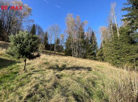 Prodej - pozemek pro bydlení, 1 891 m² obrázek