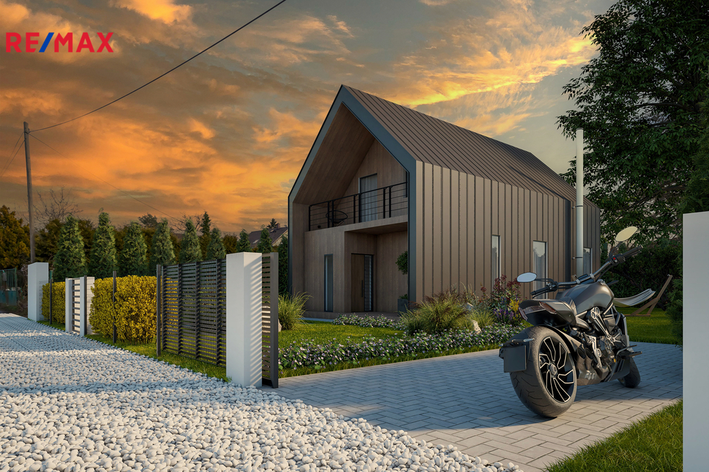 viz-3-remax.jpg