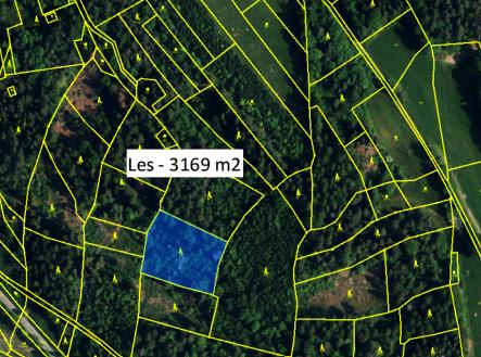 971.png | Prodej - pozemek, les, 838 m²