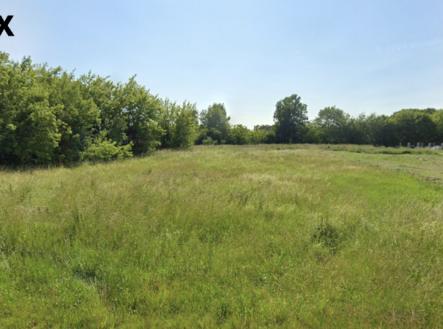 pozemek-foto.png | Prodej - pozemek pro bydlení, 5 565 m²