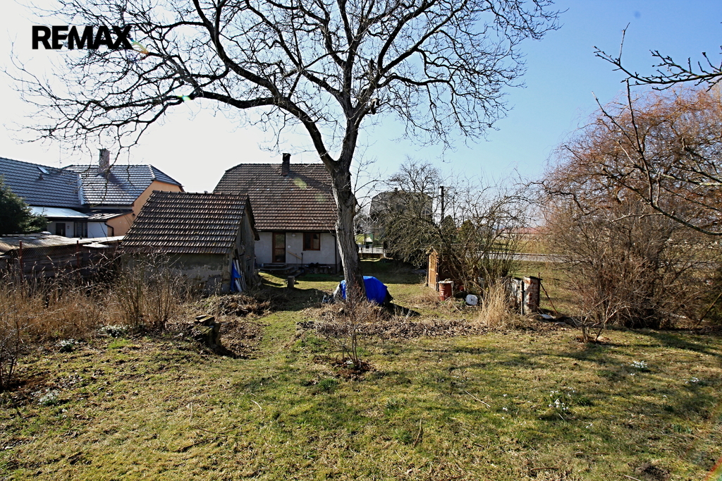 img-3051.jpg