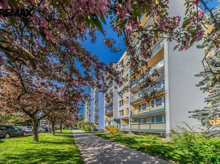 Prodej bytu, 3+kk, 65 m² obrázek