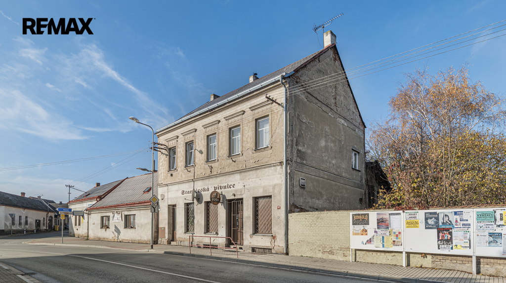 p1094050.jpg