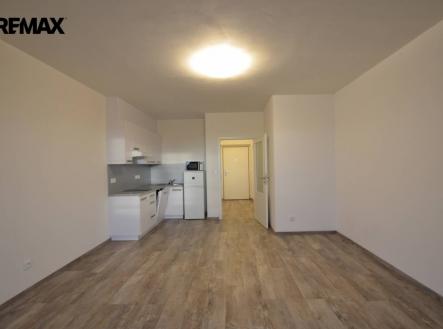 img_7dd395cc23.jpg | Pronájem bytu, 1+kk, 46 m²
