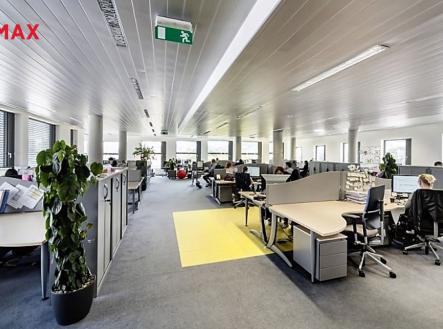 Pronájem - kanceláře, 589 m²